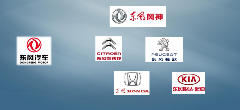 国内客户散布